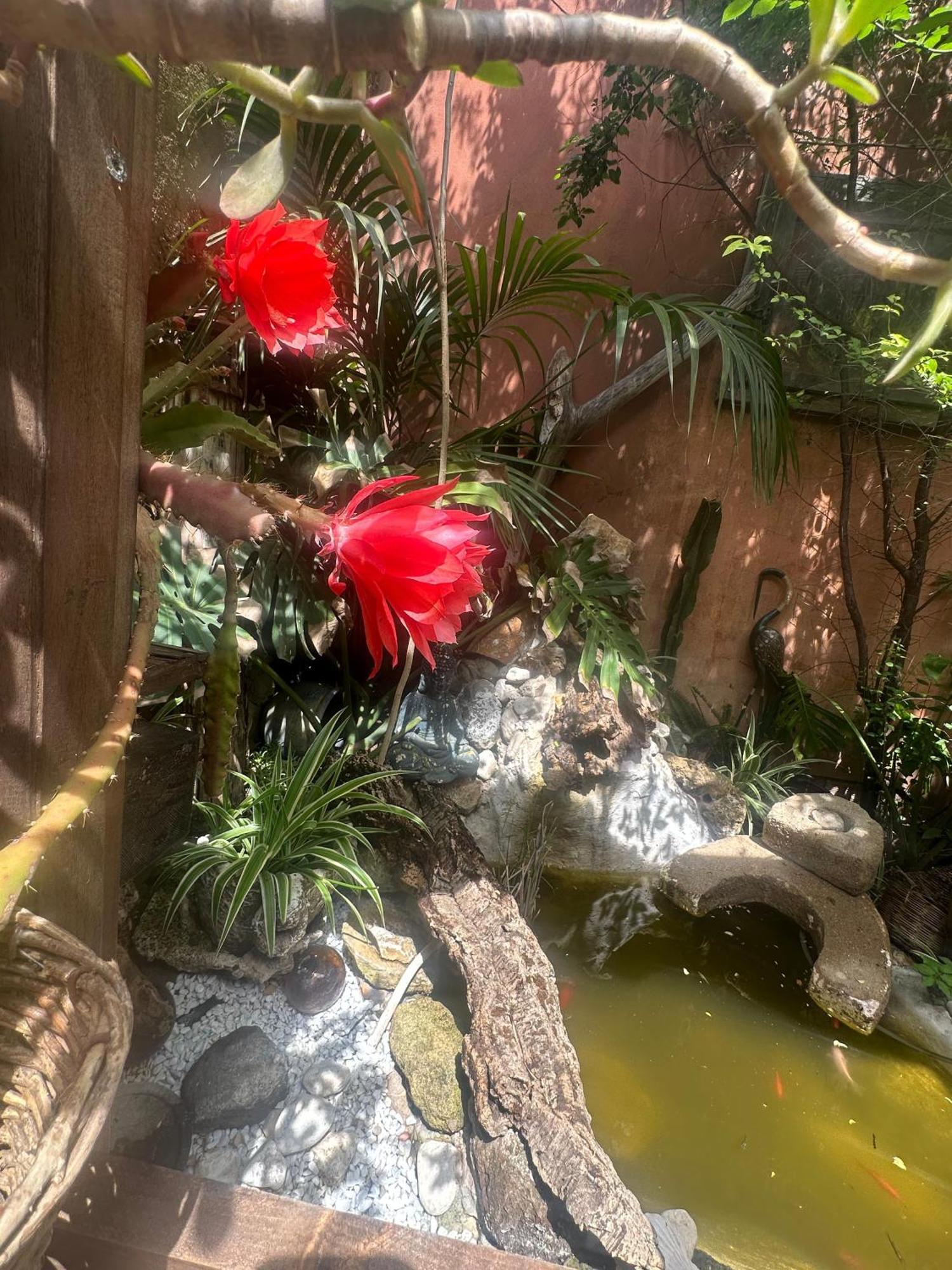 לינה וארוחת בוקר אוריסטאנו Il Giardino Di Chiara מראה חיצוני תמונה