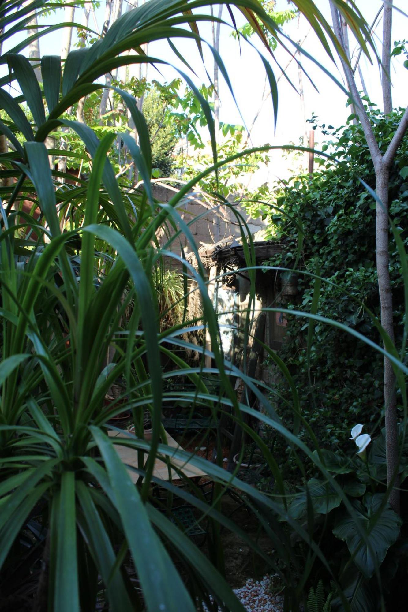 לינה וארוחת בוקר אוריסטאנו Il Giardino Di Chiara מראה חיצוני תמונה