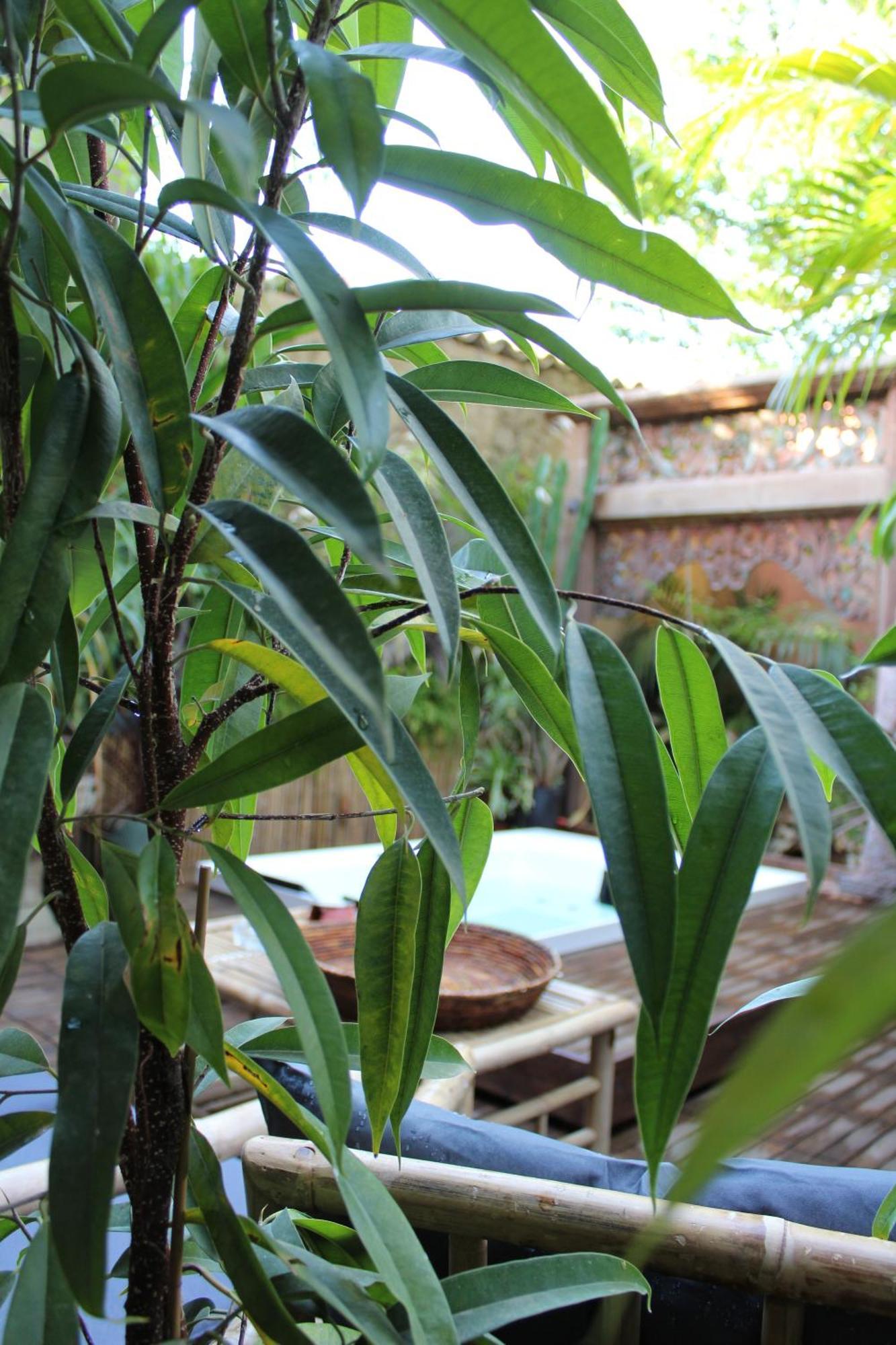 לינה וארוחת בוקר אוריסטאנו Il Giardino Di Chiara מראה חיצוני תמונה